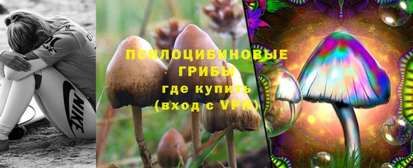 прущая мука Елизово