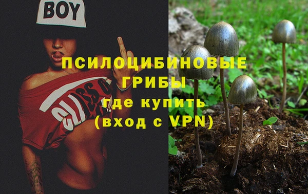 прущая мука Елизово